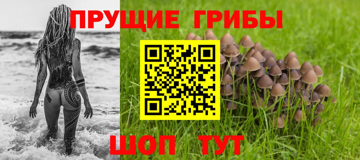 Галлюциногенные грибы прущие грибы  Вход с VPN  Шелехов 